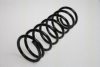 TRISCAN 8750 1713 Coil Spring